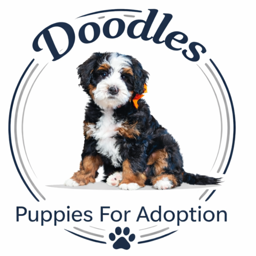 Doodles Puppies